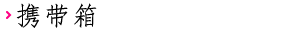 携带箱
