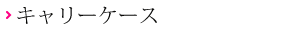 キャリーケース
